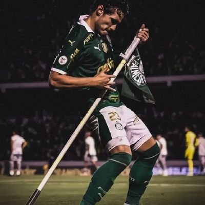 valmir_sep1914's profile picture. 