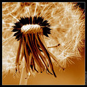 Amy Duval - @AmyDuval1 - Twitter