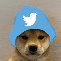 Nik (@nikhilgoyxl) 's Twitter Profile
