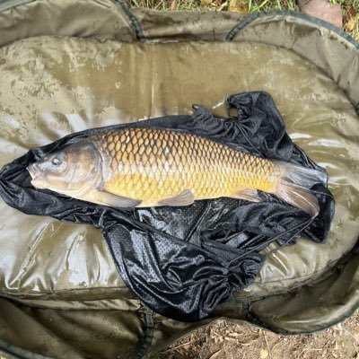 Charlie13863543's profile picture. 🅾️’s