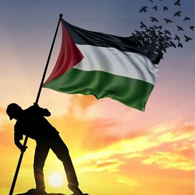 Adelplombier's profile picture. اللهم أنت ربي لا إله إلا أنت عليك توكلت وأنت رب العرش العظيم ماشاء الله كان ومالم يشأ لم يكن ولا حول ولا قوة إلا بالله العلي العظيم أعلم أن الله على كل شيء قدير