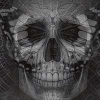 Martin Dogtablet (@thedogtablet) 's Twitter Profile