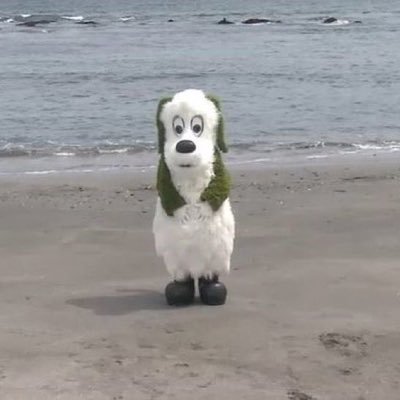 𝘦𝘯𝘰𝘬𝘪さんのプロフィール画像