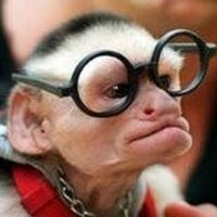Tom Moffitt (@tommoffitt) 's Twitter Profile