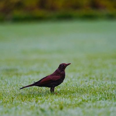 SocioEquality's profile picture. ।। मध्यम मार्गी ।। राष्ट्रप्रेमी ।। शांतिप्रिय ।। पक्ष-विपक्ष दोनों की आवाज़ का पक्षधर।।

।। सहृदय ।। स्त्रीवादी ।। मानवतावाद ।।
                ।।।।साहित्य।।।।