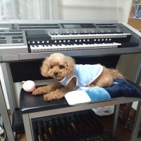 モカクマ (@6hjq248dlnfk3gj) Twitter profile photo