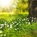 副業で収入を増やすコツを紹介中。副業を始めてみたい人に役立つ情報を提供。僅かですが現金プレゼント企画も始めました。 なくなり次第終了➡ https://t.co/wxfnNjBXcD