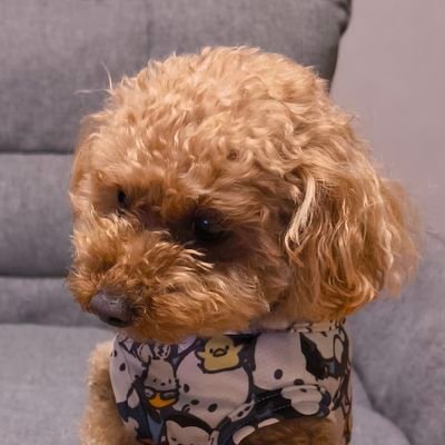 どちらかといえば乗るより眺めて楽しんでいます。無言フォロー失礼します。無言フォロー歓迎です。
エロ、投資、宗教❌️