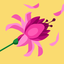 adja Kone - @Mxt24213 - Twitter