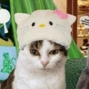 Kitty LaBelle ๐ (@kittylabelle_) 's Twitter Profile Photo Kitty LaBelle ๐ (@kittylabelle_) 's Twitter Profile Photo