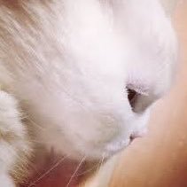 zoobee1961's profile picture. 