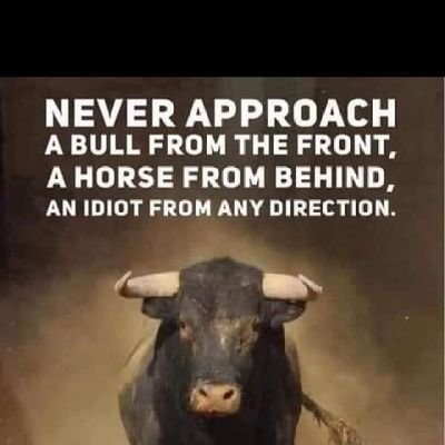 PackX85's profile picture. Global Political analyst, looking deeper into issues and giving it a reality check. Lots of political BS needs to be debunked..