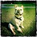 Jason Bateman (@jasonbatem70451) Twitter profile photo Jason Bateman (@jasonbatem70451) Twitter profile photo