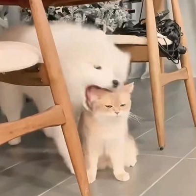 j96est's profile picture. 