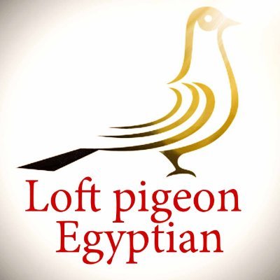 himohima526814's profile picture. النادي المصري لحمام المكنيرات Egyptian pigeon loft بدات فكرة انشاء الموقع فى عام 2000 م نتيجة الحاجه الي معرفة المزيد معلومات عن الحمام المصري وأنواعة المختلفة