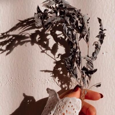 كن وسطاً بين الاقتراب والابتعاد ، لا بعيداً تُنسى ، ولا قريباً يُكتفى منك ... لا ثقيلاً يُستغنى عنك ، ولا خفيفاً يُستهان بك .. ابقَ متزناً معتدلاً ، ولا تكن مه