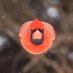 NVR messiah (@messiahfps) Twitter profile photo NVR messiah (@messiahfps) Twitter profile photo
