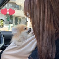 いぬとかいぬし (@kurikurin0326) 's Twitter Profile