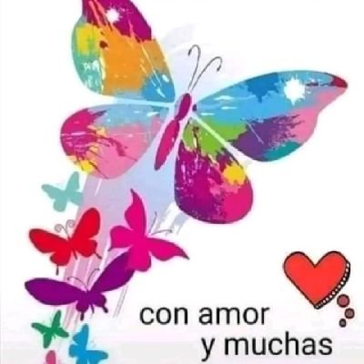 sayecita's profile picture. Venezolana. Ex diplomática de carrera. Internacionalista UCV.