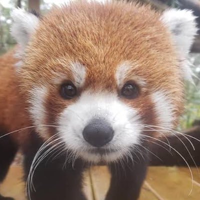 esy_jp's profile picture. 