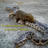 garis3660139's profile image