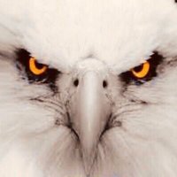 The Vigilant 🟢🙏4🇺🇸🦅 (@beercan45) 's Twitter Profile Photo The Vigilant 🟢🙏4🇺🇸🦅 (@beercan45) 's Twitter Profile Photo