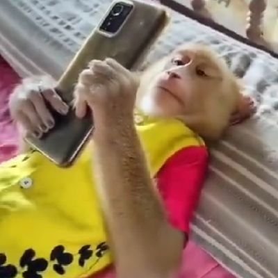 WijayaP25837292's profile picture. 