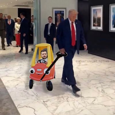 I am fluffy,squishy and cool. Mr Fluffles realizes both sides of aisle are corrupt in DC. On our own.