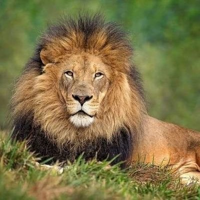 AMLOBOT20182024...por un país más conciente...✍️ obradorista de corazón y mente, twteriano por formación politicoateo por convicción..