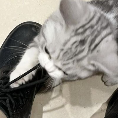 aalsoo_'s profile picture. 6'9 nonchalant dreadhead | dti tt: https://t.co/4erd5AH5Sy