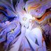 juniper (@jun3bu9s) Twitter profile photo juniper (@jun3bu9s) Twitter profile photo