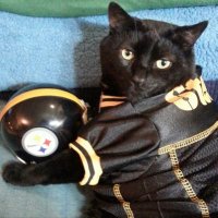 Reasor (@wvreasor) 's Twitter Profile
