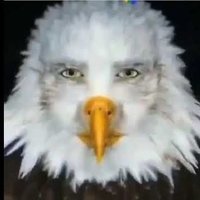 DravidianAgarthan (@chudphilosopher) 's Twitter Profile