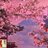 Ardiansyah58148's profile image