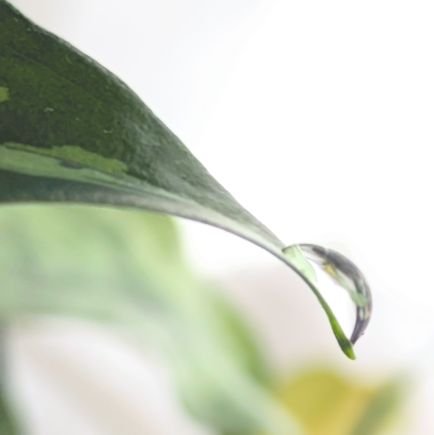 daen_fujioka's profile picture. カラシンと歌系youtuber推し宮城と仙台がすき