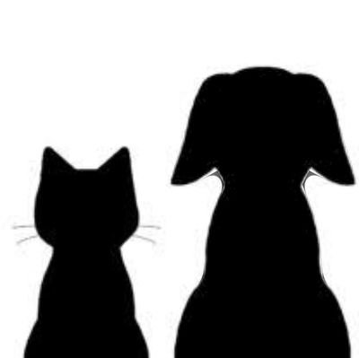 吉沢亮さんの大ファンです
思うようにいかないこともたくさんありますが、明るく楽しくすごしてます🩵🩵
亮友さんはたくさんほしいタイプです🤣
よろしくどうぞ😊FCエアー会員🤣🤣