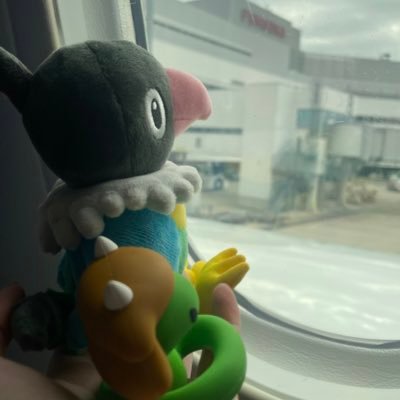 わたる🌱さんのプロフィール画像