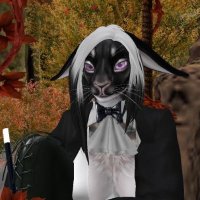 Delphi Moonlight (@delphimoonslw) 's Twitter Profile