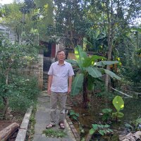 nguyen duc tuan (@nguyenductuan65) 's Twitter Profile