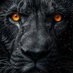 laince bag (@bagumalaince) Twitter profile photo