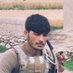 Habib Habibi (@hh87habibi) Twitter profile photo Habib Habibi (@hh87habibi) Twitter profile photo