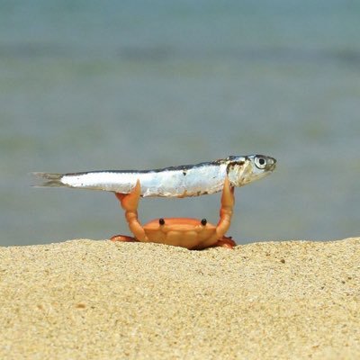 challen94892311's profile picture. 雑多。中年会社員。舞台演出（照明・映像）などが好き。職業プログラマー