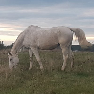 Maga52887865's profile picture. #SilniRazem . Trolle - banuję. Ban może być bez ostrzeżenia.