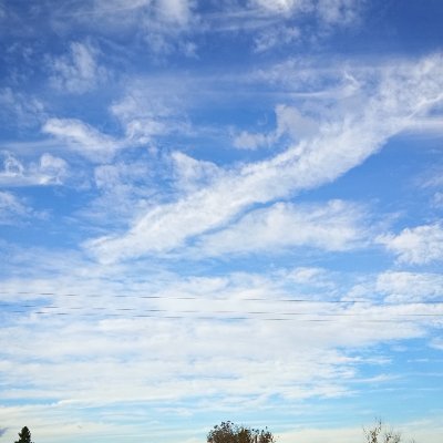 ostialostia's profile picture. please avoid bullshit!
stop pollution now