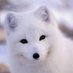Yining Wei (@wynnn_uk) Twitter profile photo Yining Wei (@wynnn_uk) Twitter profile photo