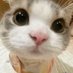 qingcheng0605 (@qingcheng092253) Twitter profile photo qingcheng0605 (@qingcheng092253) Twitter profile photo