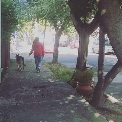 Mirémonos nosotros mismos. Somos hiperbóreos.Sabemos perfectamente lo alejados que vivimos de los demás. Unas veces se gana y otras se aprende.