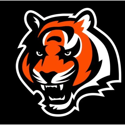 Husband to Angela, father of two, Avid Bengals fan. Tweets reflect my own thoughts/opinions, not those of my employer