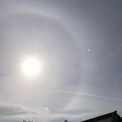 venetia42's profile picture. 人間の身体が分解できない化学物質は極力減らす方が健康的と思ってます😆過敏で電磁波外来受診。食品添加物長年侮っていましたが除去生活3ヶ月で体重5kg減、半年上がらなかった腕💪肩が完治したり添加物を舌がわかるように😳AC.ADHD.HSP🩵自身や家族を通して理解できると生きやすく。政治や市民、子どもの活動大好き🥰