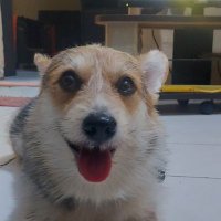 🇲🇨SAYA 16%🇲🇨 (@mytrip19) 's Twitter Profile